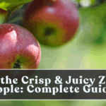 Grow the Crisp & Juicy Zestar Apple: Complete Guide