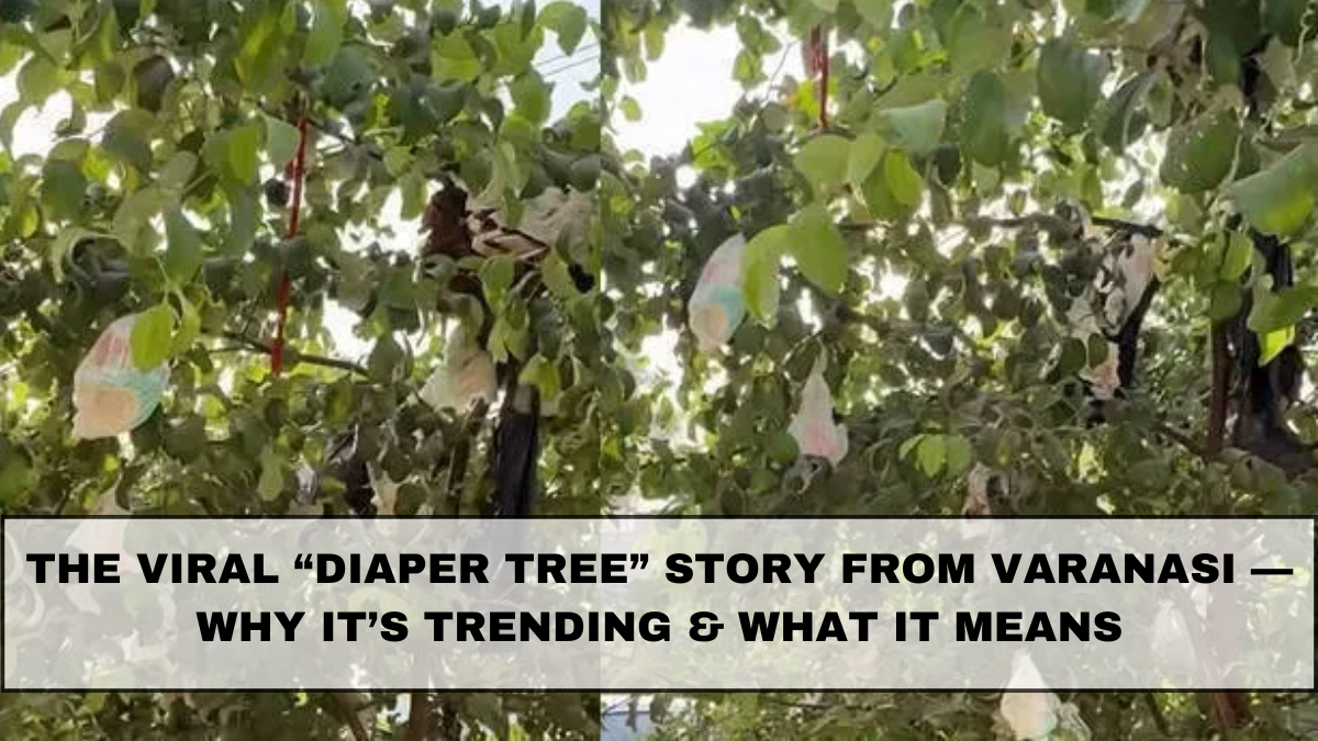 The Viral “Diaper Tree” Story from Varanasi — Why It’s Trending & What It Means