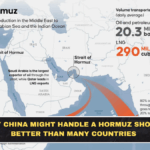Why China Might Handle a Hormuz Shock Better Than Many Countries