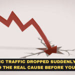 Organic Traffic Dropped Suddenly: How to Find the Real Cause Before You Panic