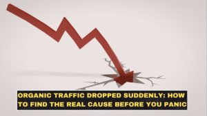 Organic Traffic Dropped Suddenly: How to Find the Real Cause Before You Panic