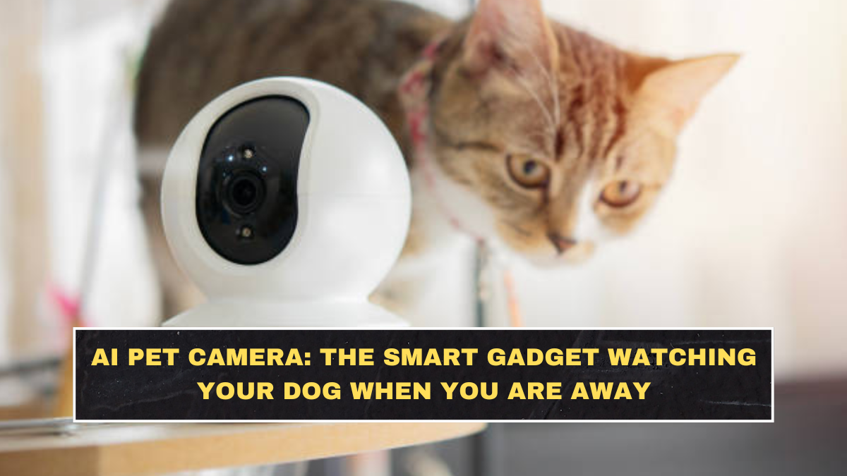 AI Pet Camera: The Smart Gadget Watching Your Dog When You Are Away