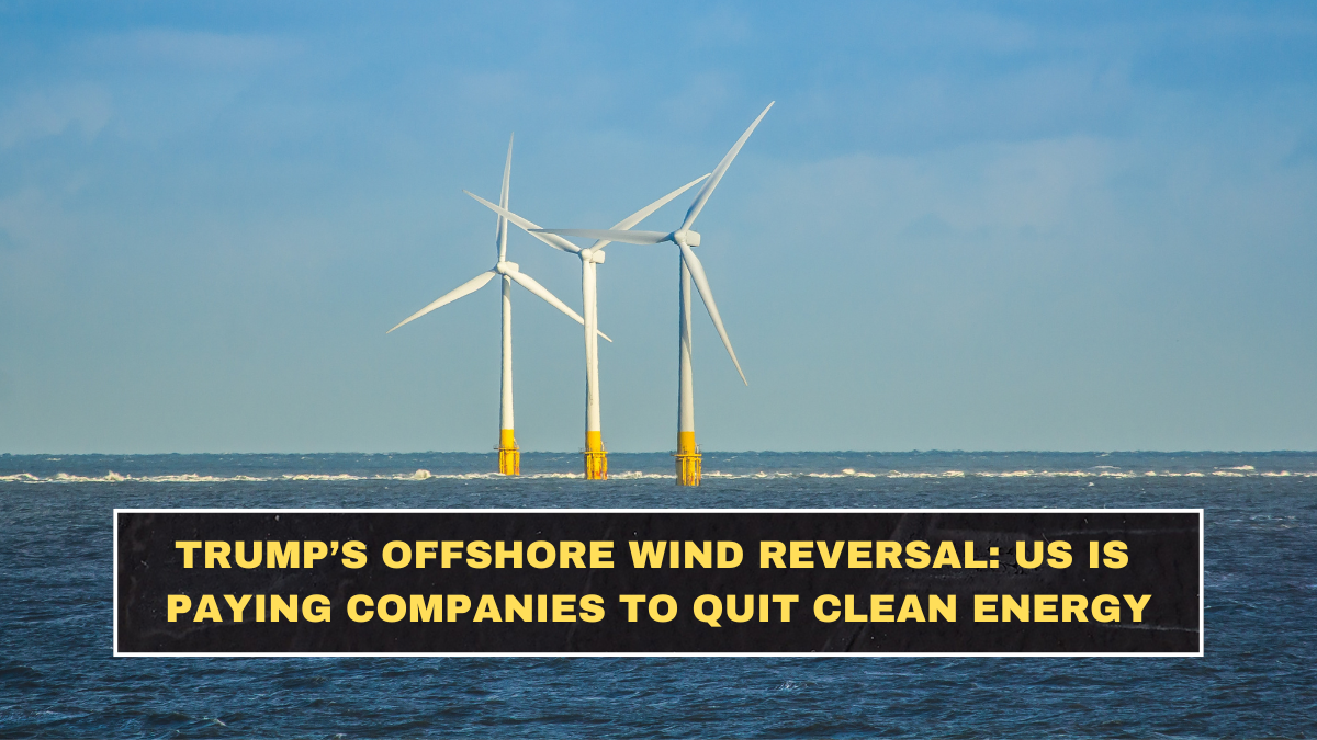 Trump’s Offshore Wind Reversal: Why the US Is Paying Companies to Quit Clean Energy