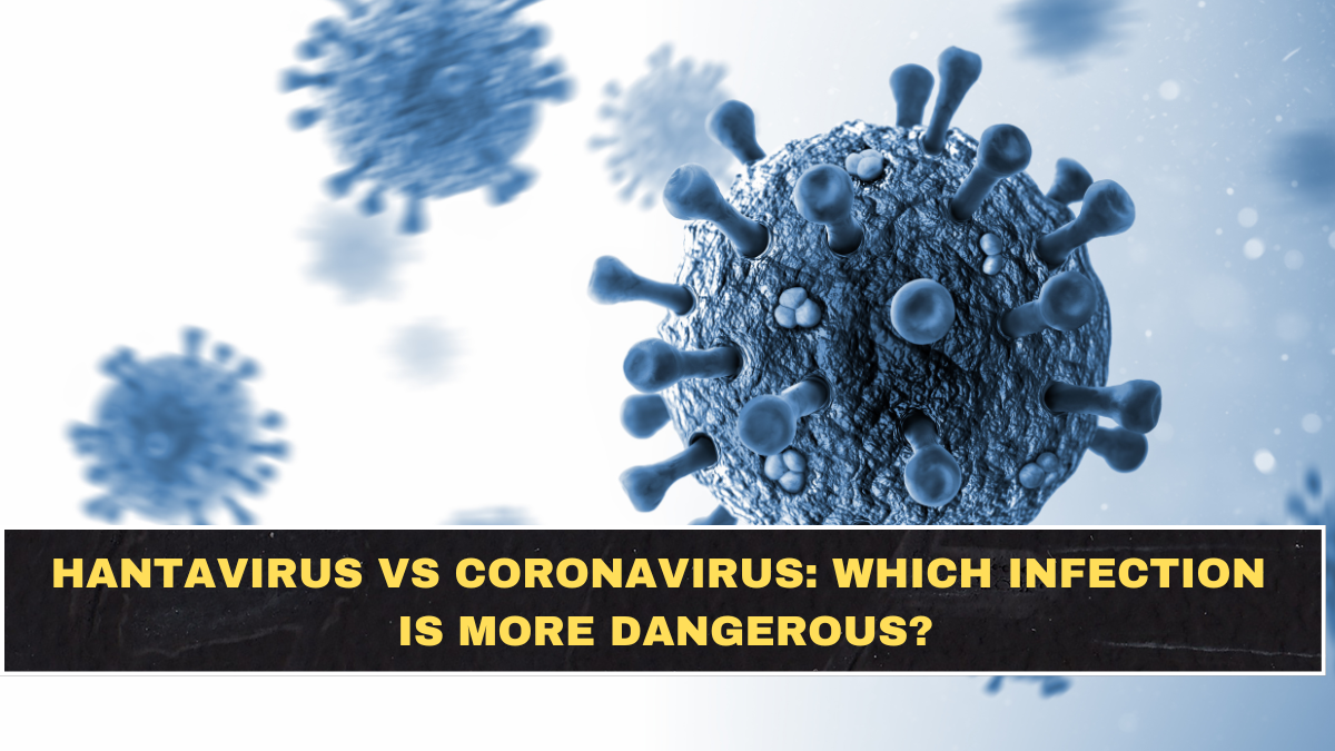 Hantavirus vs Coronavirus: Which Infection Is More Dangerous?